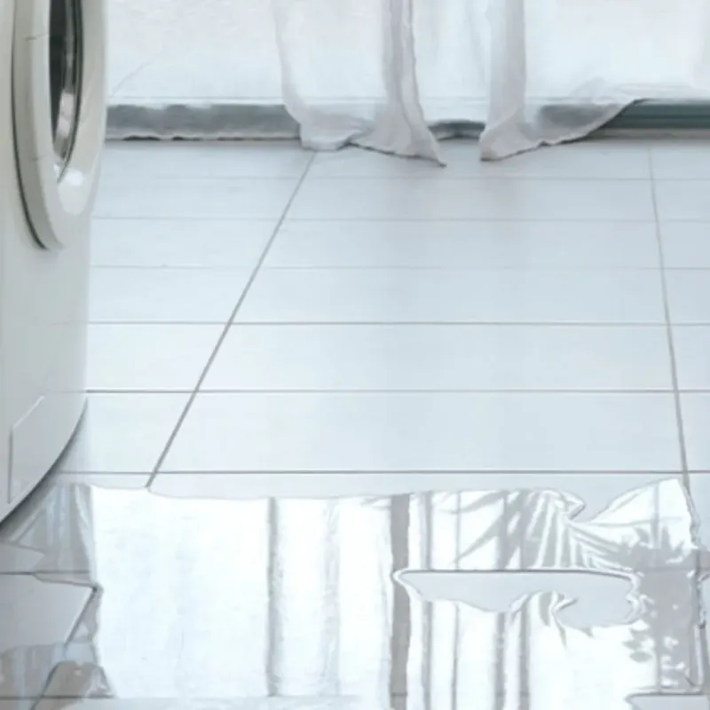 Appliance Leak Cleanup in Leadville, CO