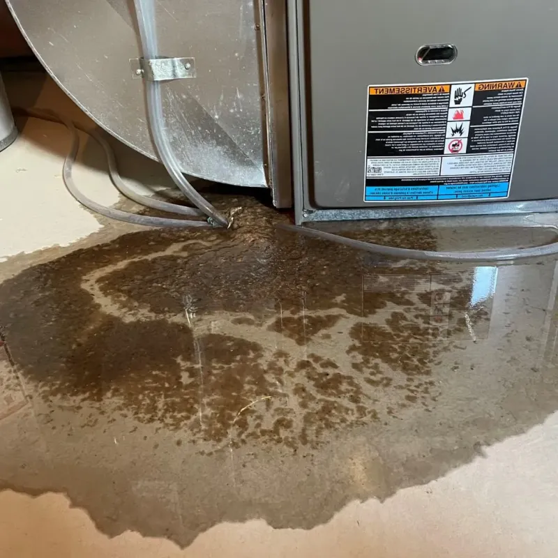 Pipe Burst and Leak Restoration in Leadville, CO