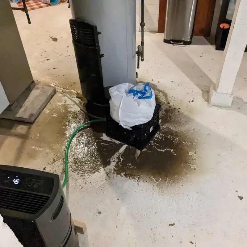 Sewage Backup Cleanup Service in Leadville, CO